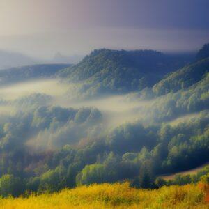 Collines